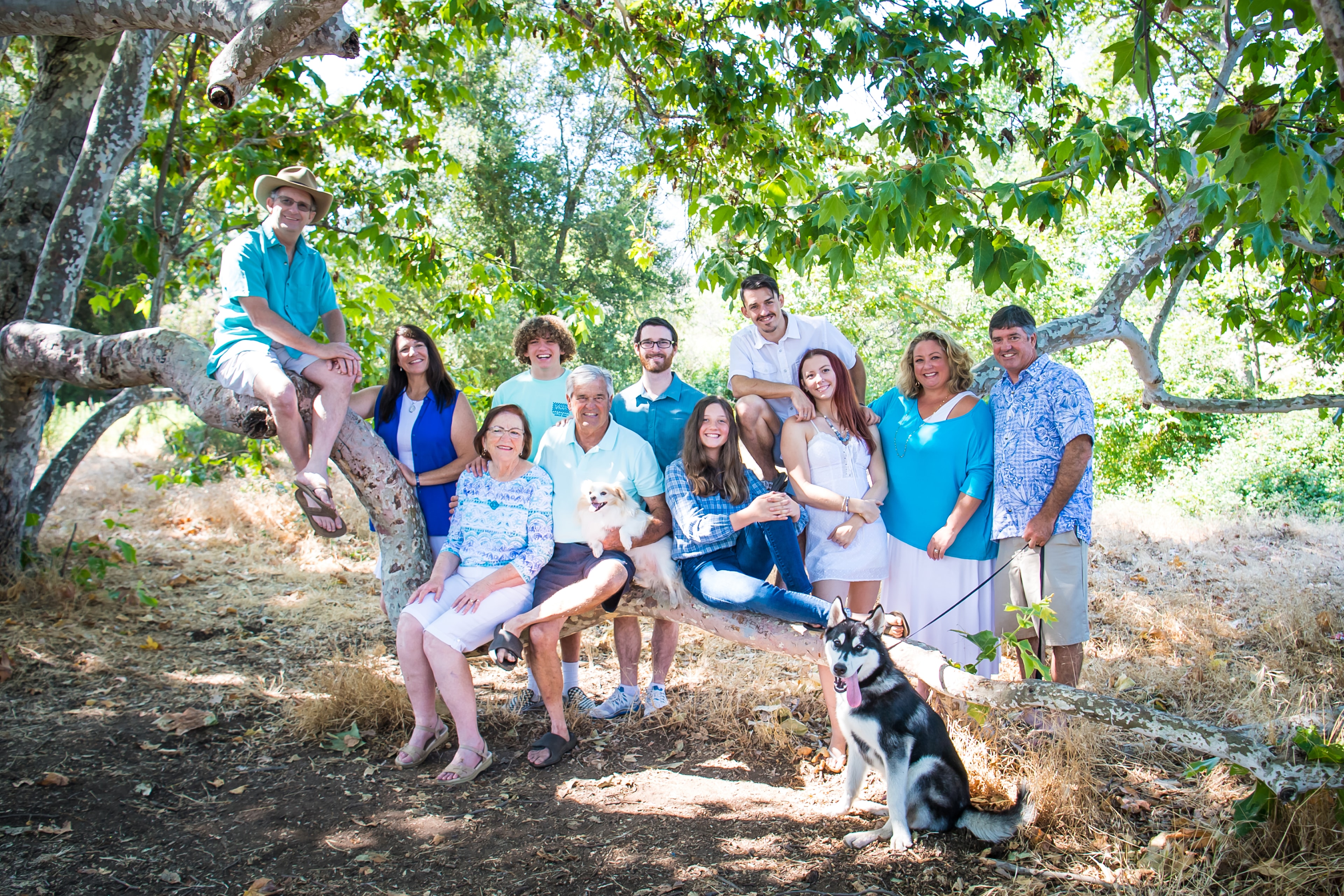 Family portrait session